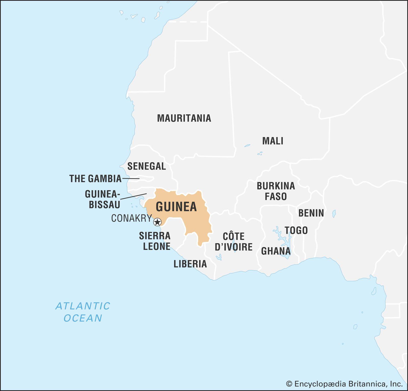 The Path Forward: Building Resilience in Guinea's Agricultural Sector