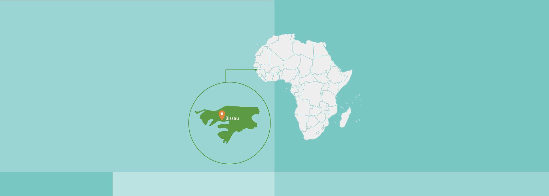 Challenges‌ Facing Guinea's ⁣Farmers: An⁤ Analysis of ⁤Current Trends