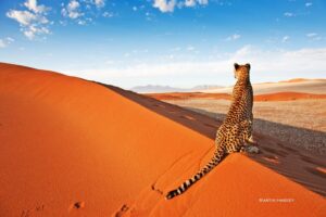Namibia – General Debate