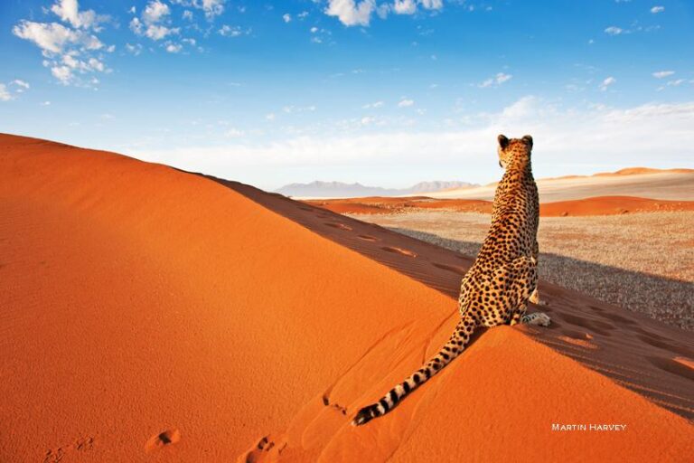 Namibia – General Debate