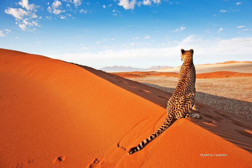 Namibia – General Debate