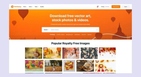 Plane crashes in the Kenyan coastal region with 12 people feared dead – TRT Afrika Plane crashes in the Kenyan coastal region with 12 people feared dead – TRT Afrika