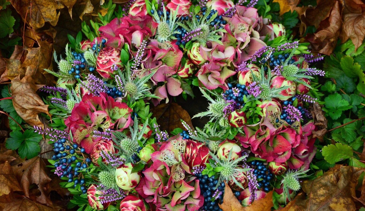 Rapid Surge in Mpox Cases in Sierra Leone Sparks Concern Over Potential Widespread Outbreak Skyrocketing mpox outbreak in Sierra Leone raises fears of wider spread – Nature