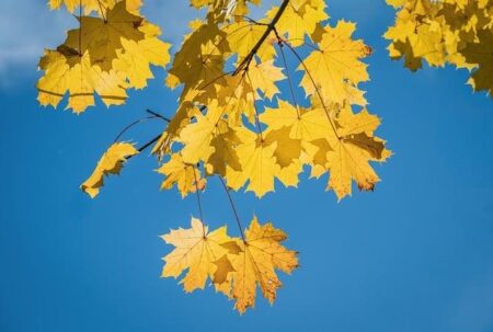 Lesotho’s Family Planning Revolution: A quiet success the world should notice – Welcome to the United Nations