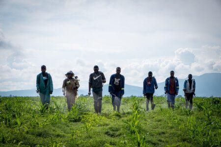 Record grain harvest showcases resilience of South Africa farmers – ZAWYA