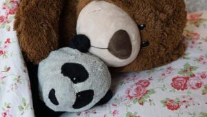 West and Central Africa: Latest Events at a glance (5 – 11 August 2025) – Democratic Republic of the Congo – ReliefWeb