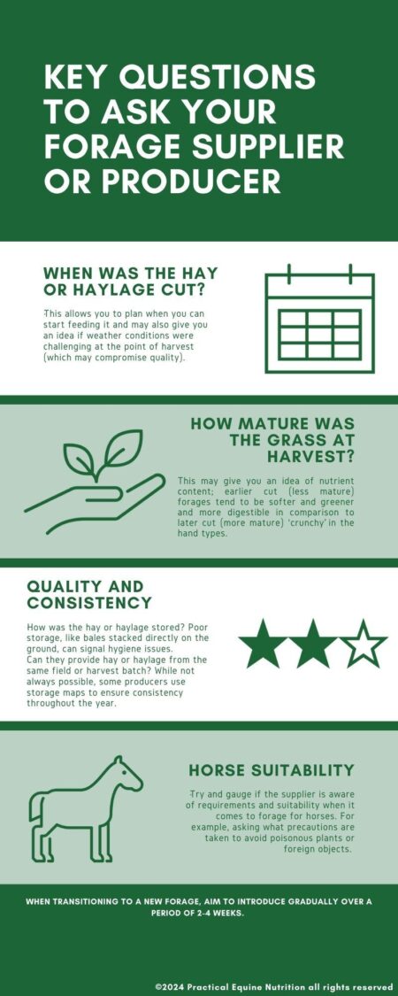 Human rights in Burkina Faso – Amnesty International