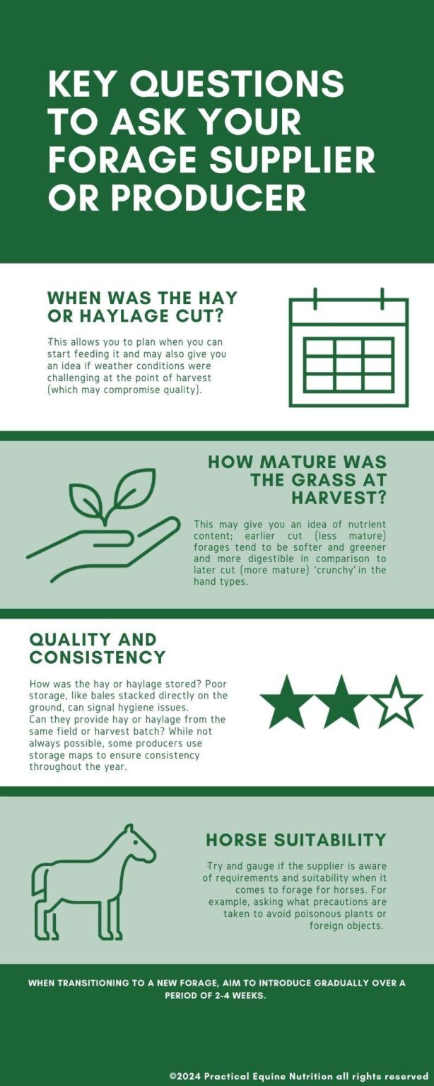 Human rights in Burkina Faso – Amnesty International