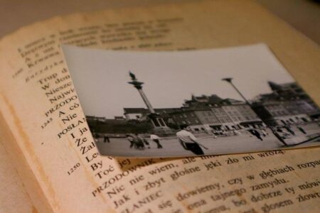 Friendly / Algeria – Zimbabwe: what time and on what channels to watch the match? – Foot Africa