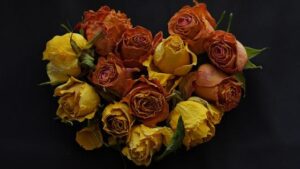 air travel disruptions Africa – Travel And Tour World