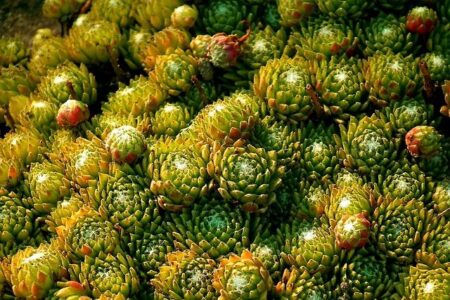 Togo: Solar energy shines light on delivery rooms – African Development Bank Group