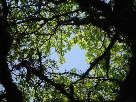 Burkina Faso: African Development Bank supports youth entrepreneurship in rural areas – African Development Bank Group