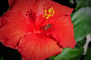 Mozambique: Afreximbank plans $3.5 billion to finance projects in energy and gas sectors – CLUB OF MOZAMBIQUE