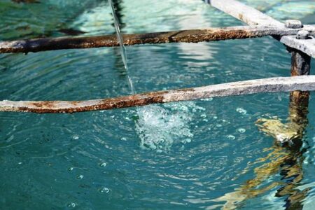 I Tried 6 Brands of Packaged Chocolate-Chip Cookies-Here’s the One That Disappointed Me the Most I tried 6 brands of packaged chocolate-chip cookies, and I was most disappointed by a cult-favorite – Business Insider Africa