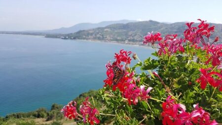 Bull Shark 26-1 Mission Recap: Top Highlights and Major Outcomes Bull Shark 26-1 Wrap-Up – CJTF – HOA (.mil)