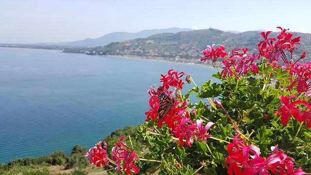 Bull Shark 26-1 Mission Recap: Top Highlights and Major Outcomes Bull Shark 26-1 Wrap-Up – CJTF – HOA (.mil)