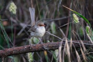Russia-Togo Diplomatic Momentum Sets a New Course for Russia–Africa Economic Synergy – russia’s pivot to asia