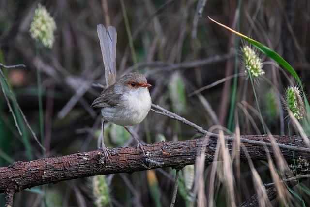 Russia-Togo Diplomatic Momentum Sparks a New Era of Russia-Africa Economic Partnership Russia-Togo Diplomatic Momentum Sets a New Course for Russia–Africa Economic Synergy – russia’s pivot to asia