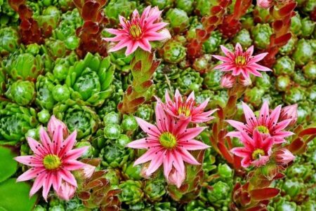 Media Literacy in Gambia: Students Learn to ‘Pause. Reflect. Research.’ – UNESCO