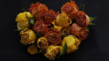 South Africa’s G20 Juggling Act – International Crisis Group