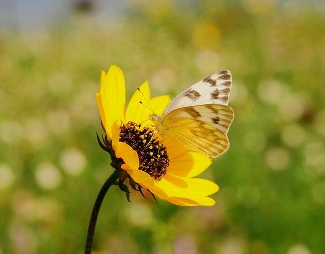 Ethiopian envoy hails Azerbaijan’s prioritization of stronger cooperation with Africa – INTERVIEW – Report.az