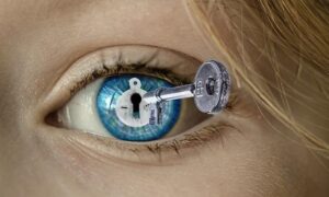 Botswana Beats Seychelles, Zimbabwe, Namibia Rwanda, Kenya and South Africa to Crush Africa’s Tourism Environmental Crisis and Set the Stage for a Greener, Brighter Future! – Travel And Tour World