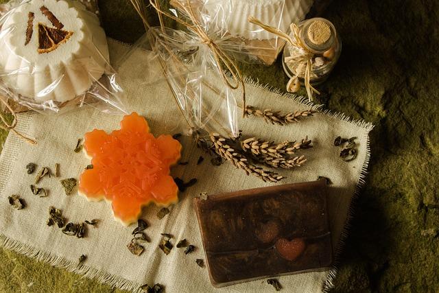 4 Men Charged With Trying to Smuggle Thousands of Ants From Kenya – The New York Times