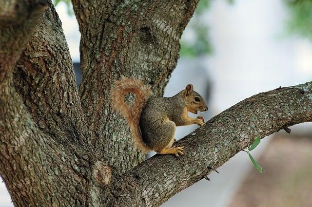 Africa’s Second Richest Man Nears $20 Billion Fortune with Only $300 Million Left to Reach Goal Africa’s second richest man is now $300 million shy of joining the $20 billion club – Business Insider Africa