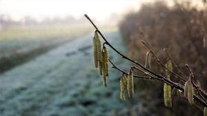 Equatorial Guinea : Ciudad de la Paz Becomes the Official Capital – Africa News Agency