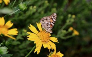 AFRICA/NIGERIA – Kidnapping of 177 Christians confirmed: “No Catholics among those kidnapped” – Agenzia Fides