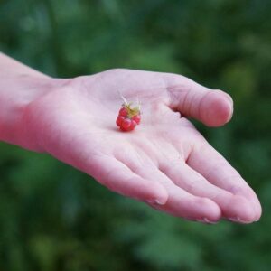 Eritrea complete historic aggregate win over Eswatini to reach AFCON 2027 next round – Confédération Africaine de Football