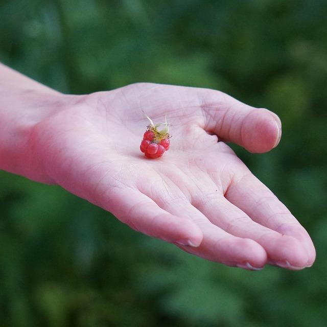 Trump says violence in Nigeria targets Christians. The reality is more nuanced – CNN